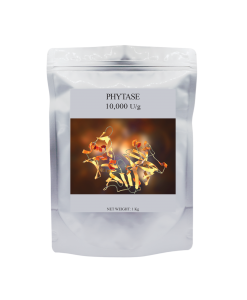 Enzyme Phytase